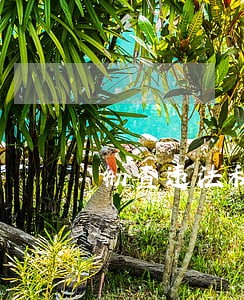 彻查违法私搭乱建情况 彻查违法私搭乱建情况