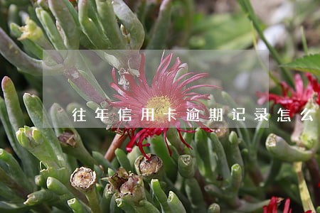往年信用卡逾期记录怎么消除