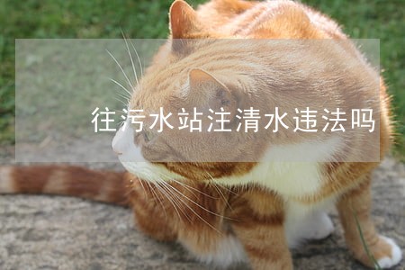 往污水站注清水违法吗 往污水站注清水违法吗