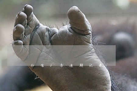 征信0条逾期记录 征信0条逾期记录