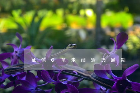 征信0笔未结清仍逾期一笔 征信0笔未结清仍逾期一笔