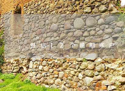征信12个逾期账户 征信12个逾期账户