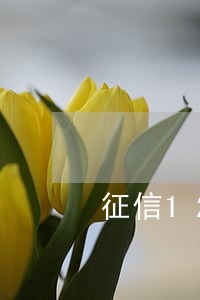 征信12小时算逾期吗 征信12小时算逾期吗