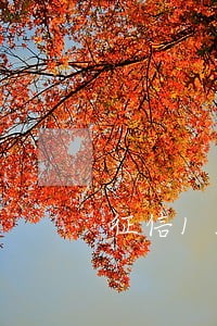 征信13次逾期可以按揭买房吗 征信13次逾期可以按揭买房吗