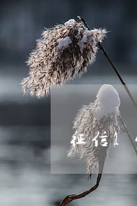 征信14条逾期记录 征信14条逾期记录