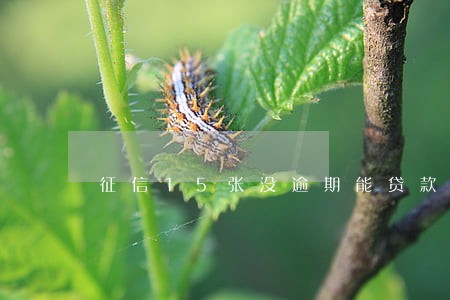 征信15张没逾期能贷款买房吗 征信15张没逾期能贷款买房吗