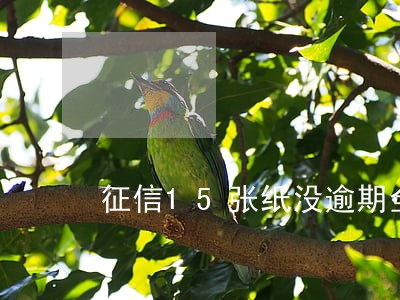 征信15张纸没逾期全还清 征信15张纸没逾期全还清
