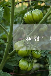 征信18次逾期能抵押贷款 征信18次逾期能抵押贷款