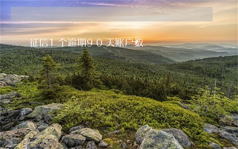 征信1个逾期90天账户数 征信1个逾期90天账户数