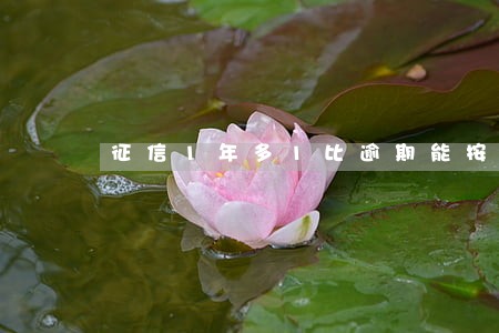 征信1年多1比逾期能按揭车 征信1年多1比逾期能按揭车