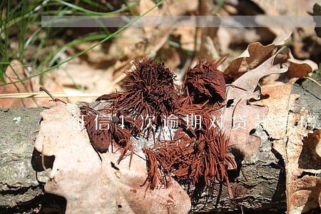征信1次逾期对贷款买房 征信1次逾期对贷款买房