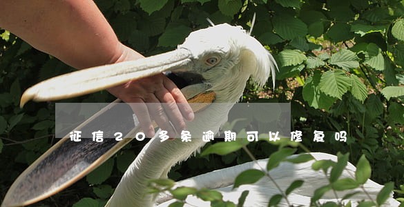 征信20多条逾期可以修复吗 征信20多条逾期可以修复吗