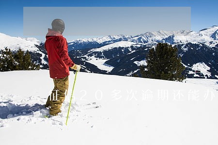 征信20多次逾期还能办理车贷么 征信20多次逾期还能办理车贷么