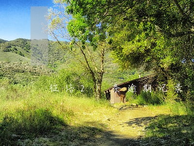 征信21条逾期记录 征信21条逾期记录