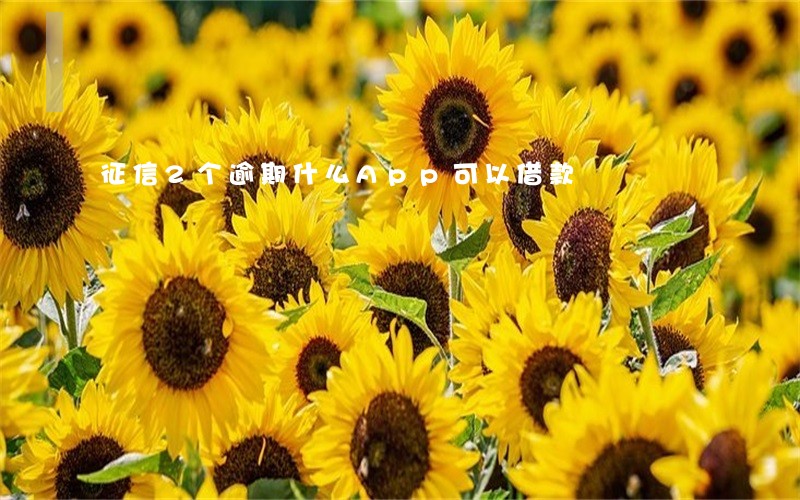 征信2个逾期什么App可以借款 征信2个逾期什么App可以借款