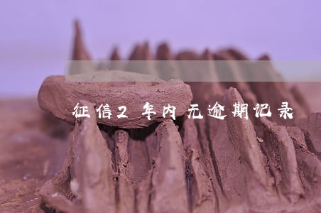 征信2年内无逾期记录