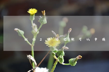 征信2年前逾期可以申请信用卡吗 征信2年前逾期可以申请信用卡吗