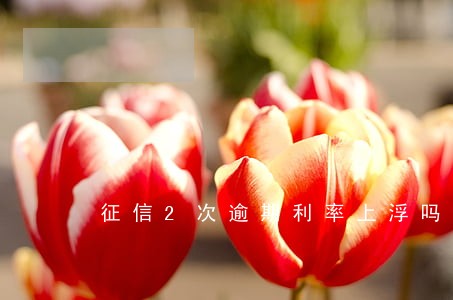 征信2次逾期利率上浮吗 征信2次逾期利率上浮吗