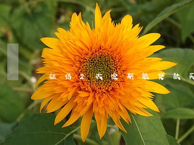 征信2次逾期能贷款买房 征信2次逾期能贷款买房