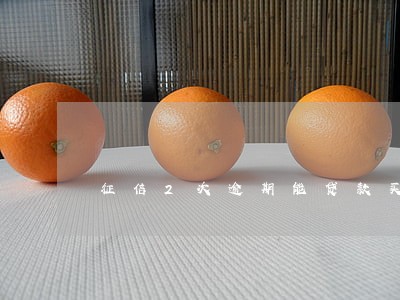征信2次逾期能贷款买房吗