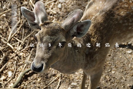 征信3年前的逾期记录 征信3年前的逾期记录