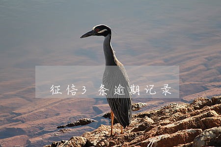征信3条逾期记录 征信3条逾期记录