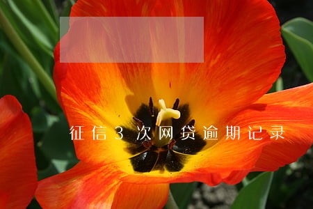 征信3次网贷逾期记录 征信3次网贷逾期记录