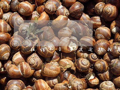 征信40多次逾期按揭 征信40多次逾期按揭