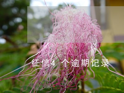 征信4个逾期记录 征信4个逾期记录