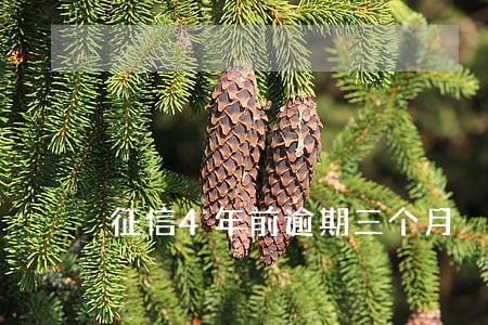 征信4年前逾期三个月 征信4年前逾期三个月