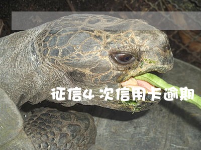 征信4次信用卡逾期 征信4次信用卡逾期