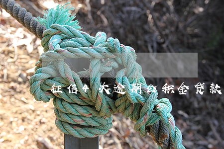 征信4次逾期公积金贷款 征信4次逾期公积金贷款