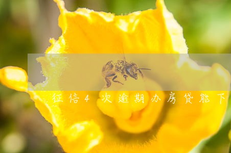 征信4次逾期办房贷能下来吗 征信4次逾期办房贷能下来吗