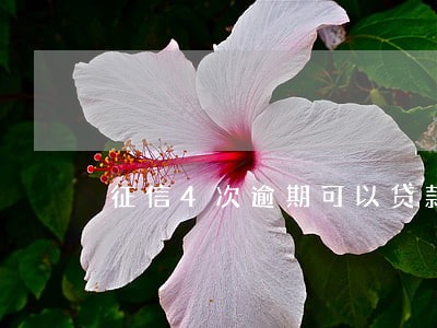 征信4次逾期可以贷款吗 征信4次逾期可以贷款吗