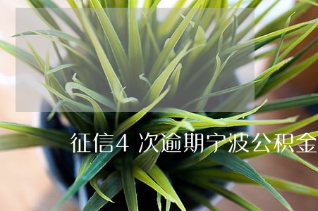 征信4次逾期宁波公积金贷款 征信4次逾期宁波公积金贷款