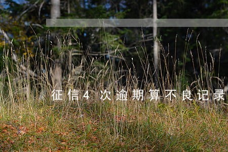 征信4次逾期算不良记录吗 征信4次逾期算不良记录吗
