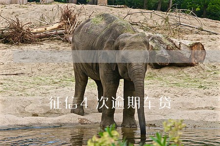 征信4次逾期车贷 征信4次逾期车贷
