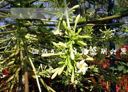 征信5个网贷逾期会黑么 征信5个网贷逾期会黑么