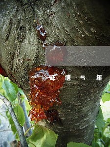 征信5年10次逾期房贷 征信5年10次逾期房贷