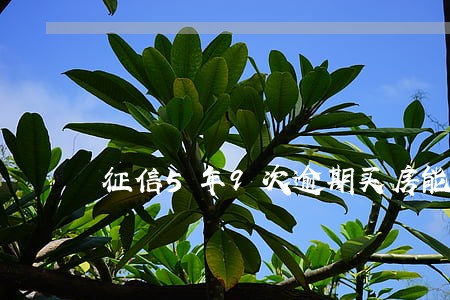 征信5年9次逾期买房能贷款 征信5年9次逾期买房能贷款
