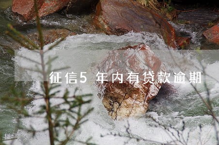征信5年内有贷款逾期 征信5年内有贷款逾期