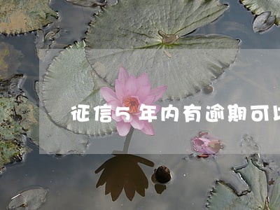 征信5年内有逾期可以买房吗 征信5年内有逾期可以买房吗