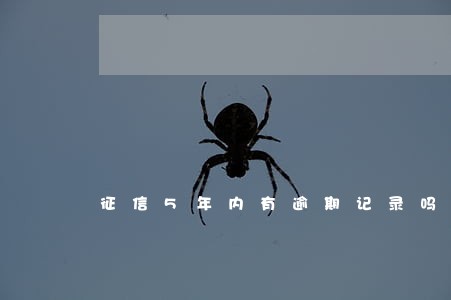 征信5年内有逾期记录吗