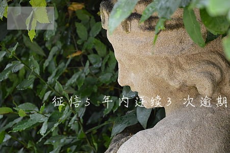 征信5年内连续3次逾期 征信5年内连续3次逾期