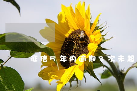 征信5年内逾期3次未超过90天 征信5年内逾期3次未超过90天