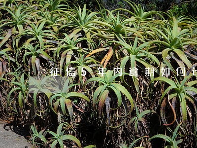 征信5年内逾期如何计算 征信5年内逾期如何计算