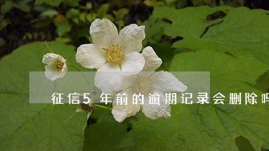 征信5年前的逾期记录会删除吗 征信5年前的逾期记录会删除吗