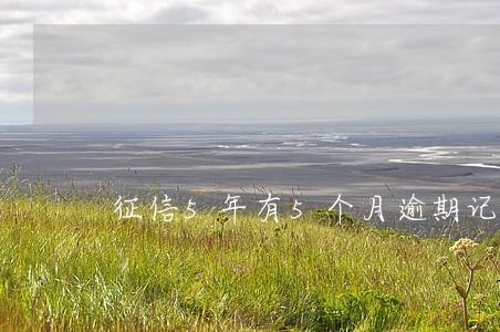 征信5年有5个月逾期记录 征信5年有5个月逾期记录