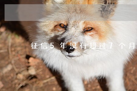 征信5年没有超过7个月逾期 征信5年没有超过7个月逾期