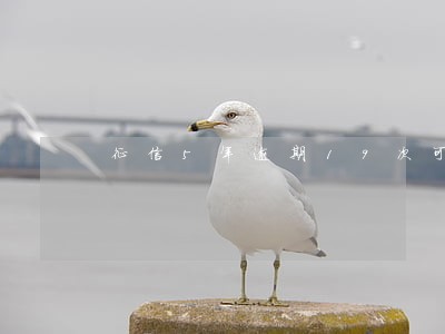征信5年逾期19次可以怎么消除 征信5年逾期19次可以怎么消除